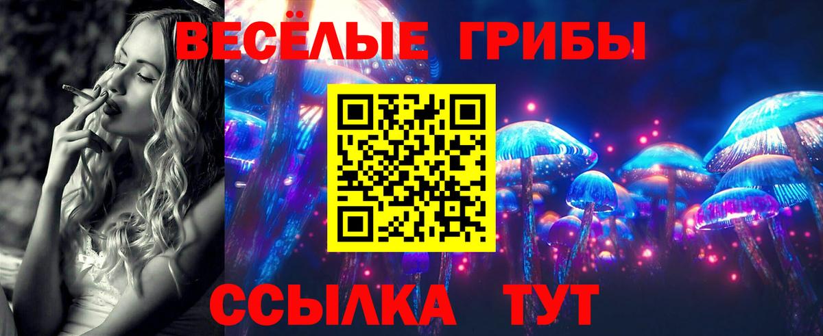 Кисловодск  Галлюциногенные грибы ЛСД  Вход с VPN 