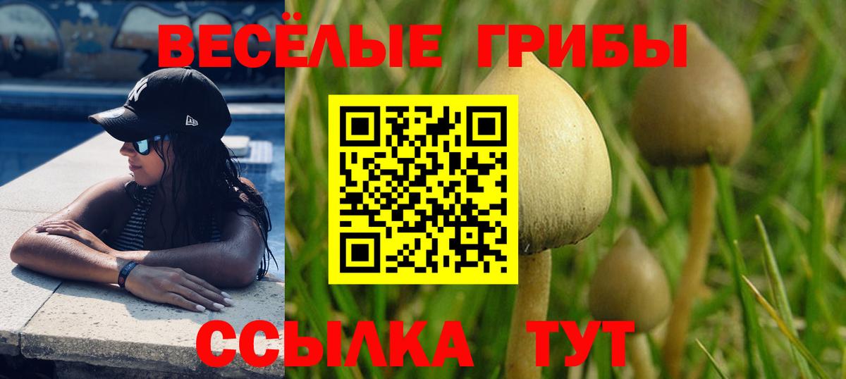 Псилоцибиновые грибы мицелий Кисловодск