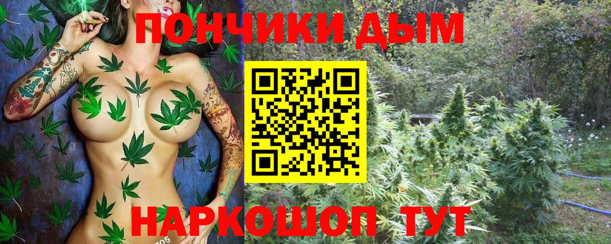 Бошки Шишки тримм Кисловодск